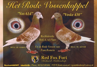 Het Rode Vos Koppel